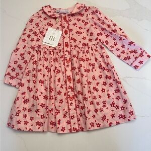 NWT Rachel Riley Pink Dress with Red Floral Accents 3T